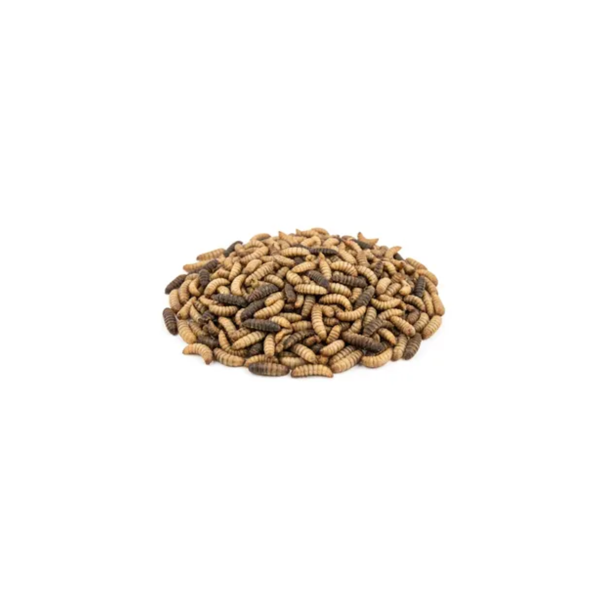Mosca Soldado Deshidratado 15 g